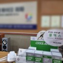 쁘띠돌스