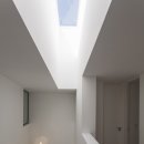 디자인MC