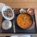 럭키버디 | 스페인 남부 여행 프롤로그: 카타르 항공 버디 티켓 오프로드 후기 도쿄 찍고 도하까지 기나긴 여정