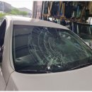 88자동차종합상사 이미지