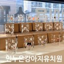 인누온 네이버블로그