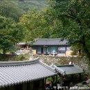 천장사