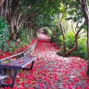 동백A(1차) 이미지