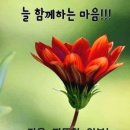 1월 6일 첫째주 토요일 ㅡ 양평 물소리길 ㅡ1월7일 첫째주 일요일 ㅡ원주 치악산 트레킹 ㅡ 이미지