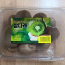 참다래 | [내돈내산] 맛젤 - 국산키위 참다래 먹어본 솔직후기