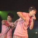 핑클 카카오 검색결과