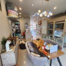 소망애견미용실 | 대구 애견숍 인테리어 애견미용실 인테리어 24평 상가 인테리어 견적과 포트폴리오입니다