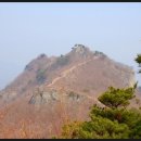 이윤권양한방동물병원 이미지