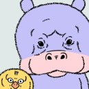 기이한 일상