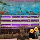 농업기술센터1층 화장실 이미지