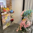 [여수 드라이플라워 💐 꽃다발 💐 너무 이쁜] &#34;메디치가든&#34;
