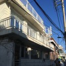 노랑퍼피 | 녹사평 해피퍼피하우스 :: 러블리한 동물얼굴모양 디저트 카페