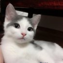 오라고PC방 이미지