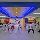 예건YTS태권도장 이미지