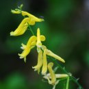 비온후풍경 이미지