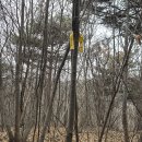 방축2리마을회관 | [파주 우두산]방축3리-도마산-금병산-우두산-애룡호-호명산-방축3리