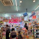 로컬희망약국 | 일본 돈키호테 선물 쇼핑 리스트!근데 이바라키점엔 샤론 파스도 없다고?