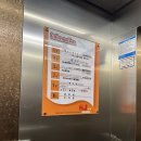 댕그레 | 믹스]수원 호매실 강아지 반려견유치원 강아지 산책, 교육, 픽업 가능한 댕그레, 가격 및 내돈내산 후기