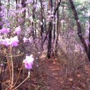 오곡리경로당 이미지