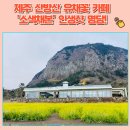 제주산림항공관리소 | 제주 산방산 유채꽃 카페, '소색채본'인생샷 명당! (@주차, 버스, 애견동반, 키즈존)