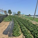 재욱농장 이미지