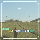 아이스크림스토리서귀포 | [제주 오설록 티뮤지엄] 입장료 주차 메뉴까지 싹 정리한 서쪽 코스 솔직 후기