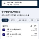 블루웨일 여행사 이미지