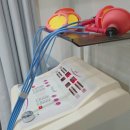 역시탑한의원 | 출산 후 산후통 원인과 관리법 &amp; 허리·무릎 통증 줄이는 산후조리 꿀팁 | 대세한의원 방문 후기