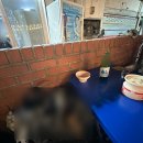 종로3가 야장 화장실 있는 술집 : 넓은마당 내돈내산 후기