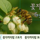 흙과소나무 네이버블로그