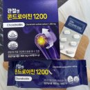 엔에스사우나 | 콘드로이친 효능 / 콘드로이친 분말 성분 분석 및 제품 선택&복용 팁