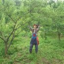 원영농장 이미지