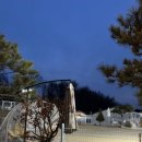 오독오독 반려견유치원 이미지