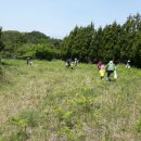 올리브나무어린이집 이미지