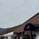 알프스식당 이미지