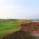 핀하이골프랩 이미지