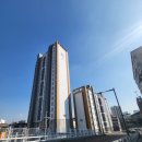 [발품 임장] 일신건영휴먼하임 아파트 임장기 - 역곡 신축아파트