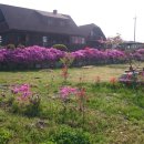 더 빌리지 펜션 이미지