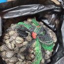 수진수산 이미지