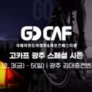 도도대디 네이버블로그