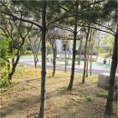 탑부동산중개인사무소 네이버블로그