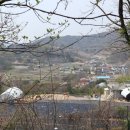 세동목장 네이버블로그