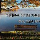 여러분은 어디에 기쁨을 두고 있습니까?(시편1:1-6) 이미지