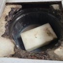 한성세탁 이미지