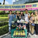 신선채소