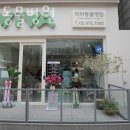 비바동물병원 이미지