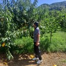 양화농장 이미지