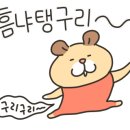 한국수어(기초) 배우기 이미지
