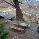 팔매숲공원 이미지