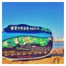 비데프라자